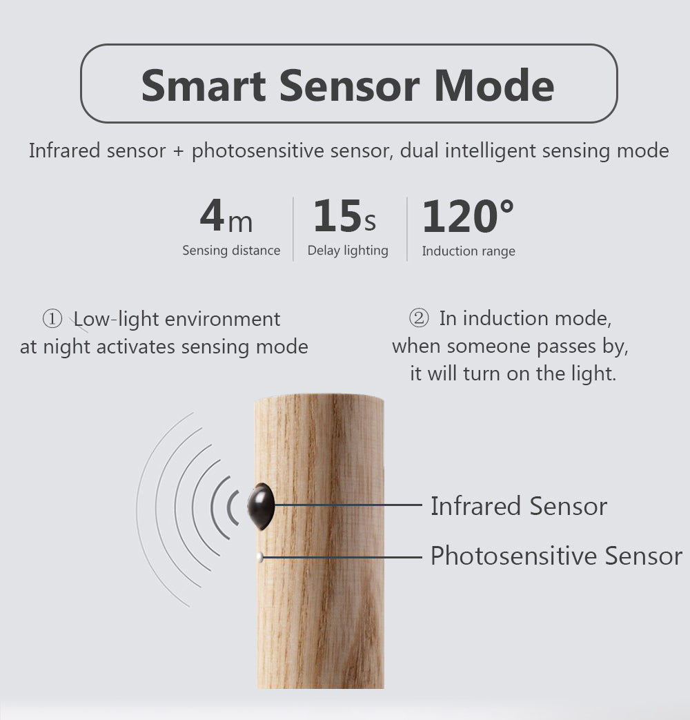 Motion Sensor Wall light