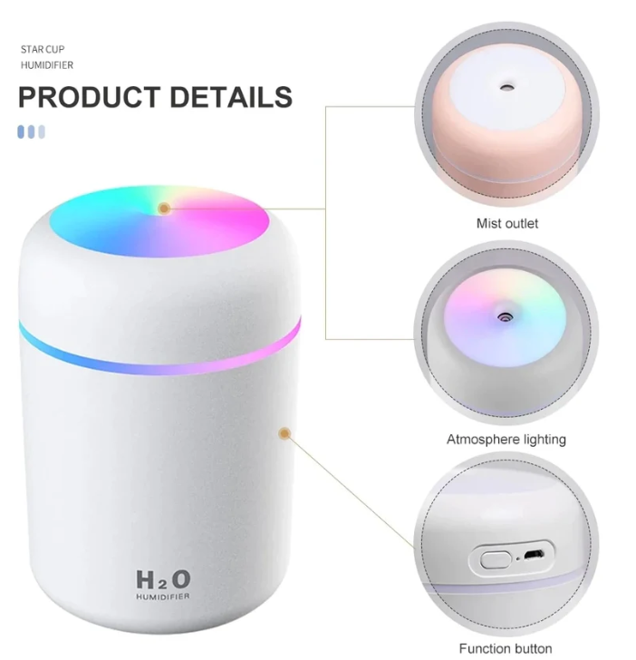 H20 Humidifier