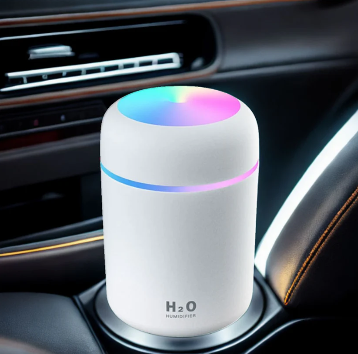 H20 Humidifier