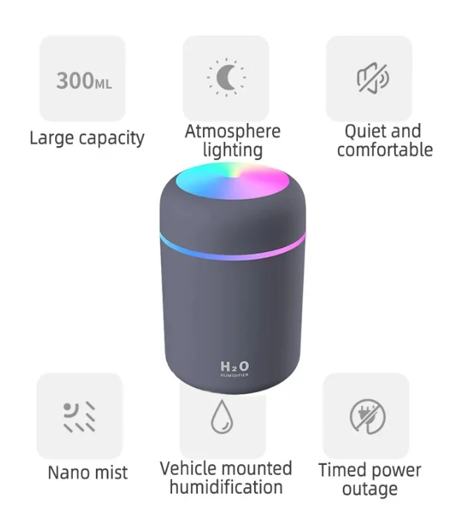 H20 Humidifier