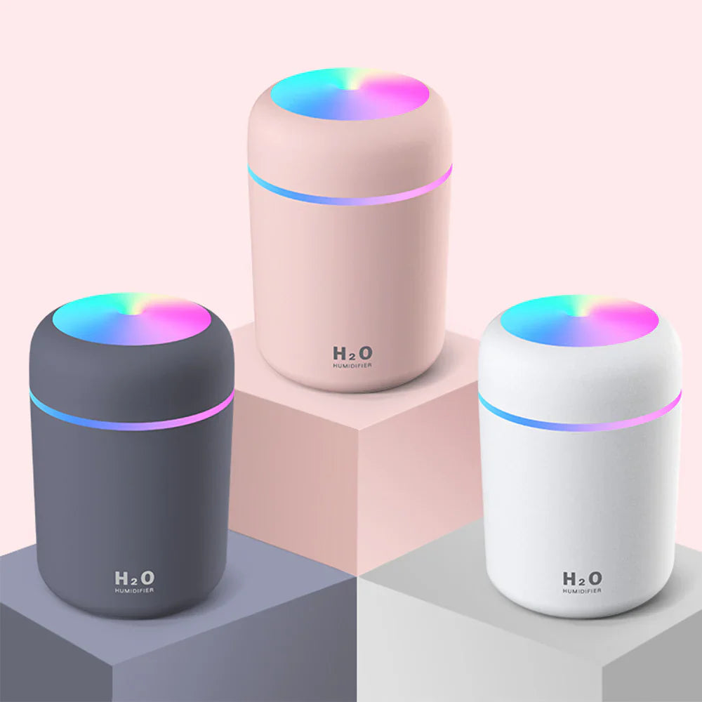 H20  Humidifier