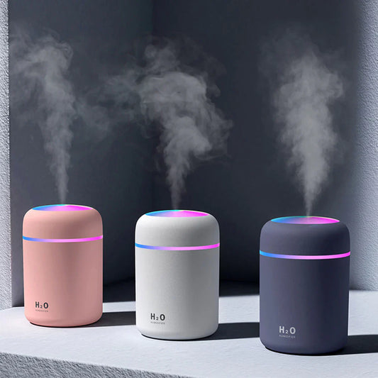 H20  Humidifier