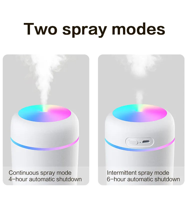 H20  Humidifier
