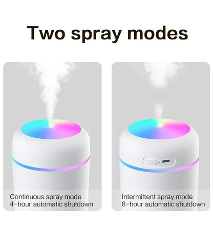 H20  Humidifier