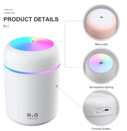 H20  Humidifier