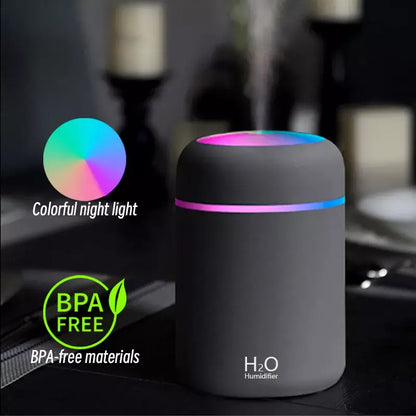 H20  Humidifier